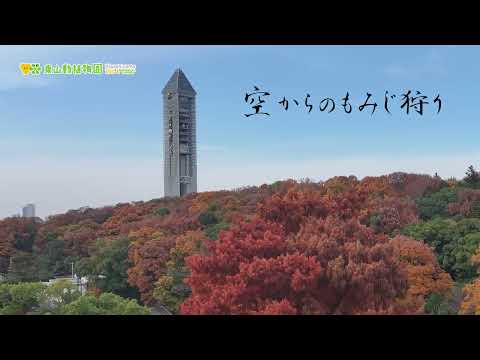 【東山動植物園公式】【東山動植物園公式】空からのもみじ狩り《 植物園　もみじ狩り　紅葉 》 サムネイル