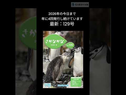 「さかなかな」　shorts サムネイル