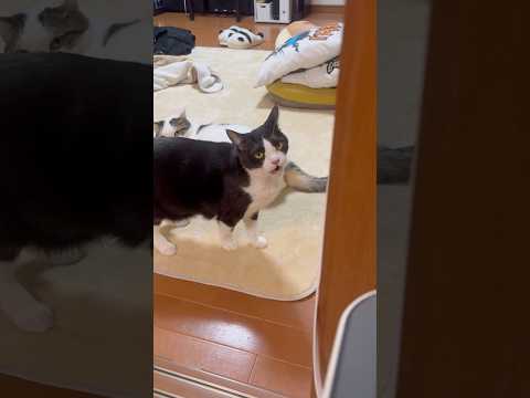 思ってたよりも サムネイル