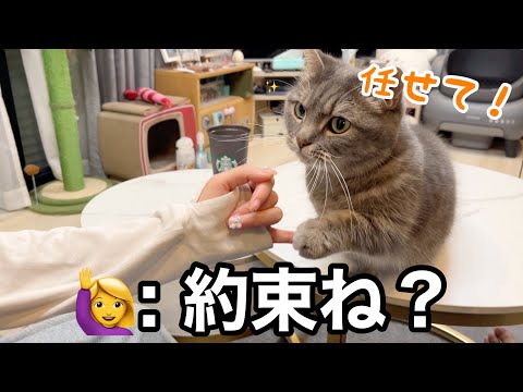 一晩楽しみに待ち続けた猫、ついにその日がきた
