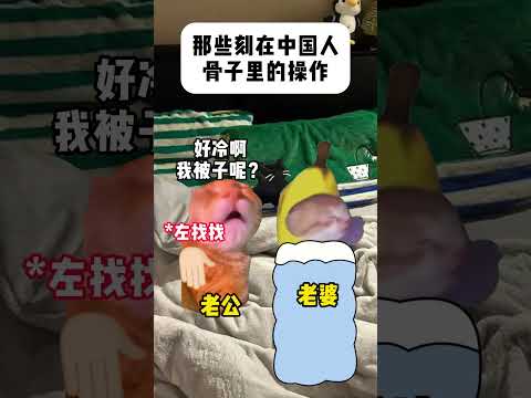 当你和家里的风扇一起看奈克瑟斯#有趣 #猫meme #猫meme剧场 #猫meme小剧场 #内容过于真实  #故事 #…