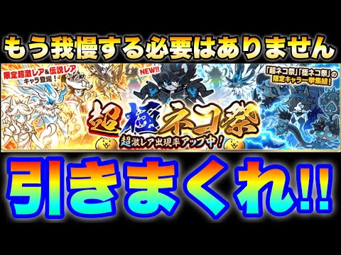 「引きまくってOKです！」超極ネコ祭ガチャ我慢タイム終了！　にゃんこ大戦争　battlecats　【オレンジチャンネル】 サムネイル