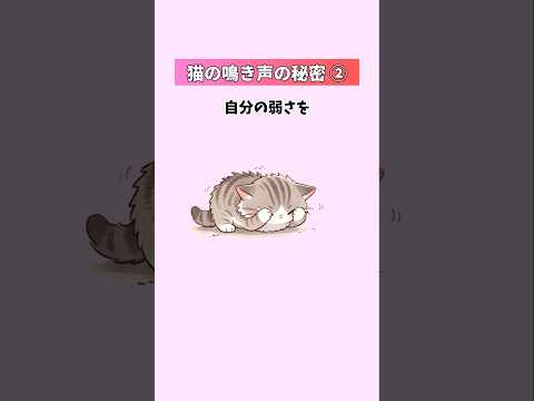 猫の鳴き声に隠された【魂のメッセージ】猫があなたにだけ話しかける本当の理由② 猫 雑学 豆知識 トリビア 音声「VOI… サムネイル