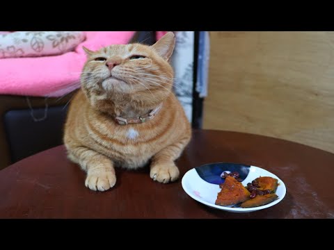 冬至　ちゃぶ台の上のいとこ煮　251222 サムネイル