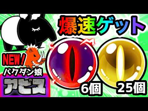 【新アビス】夜は短し夢みよ乙女　この適性キャラたちで爆速報酬ゲット！　バクダン娘　にゃんこ大戦争 サムネイル