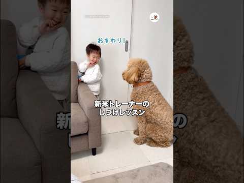 新米トレーナーのしつけレッスン｜PECO サムネイル