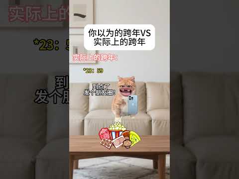 你以为的跨年VS实际上的跨年有趣 猫meme 猫meme剧场 猫meme小剧场 内容过于真实  故事 貓 猫猫meme… サムネイル