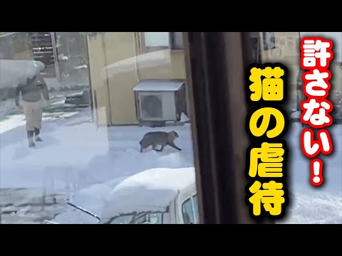 自分の猫は外で飼い他の猫は執拗に追い払う…虐待ですよ サムネイル