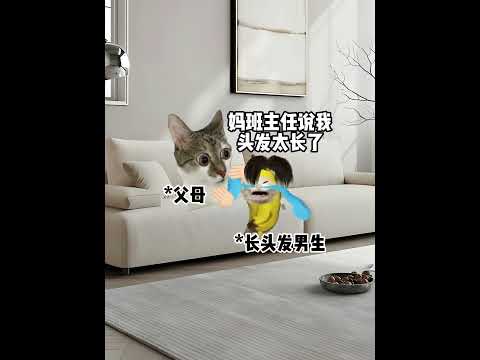 当班级突然冒出一群顶尖生时有趣 猫meme 猫meme剧场 猫meme小剧场 内容过于真实  故事 貓 猫猫meme小… サムネイル