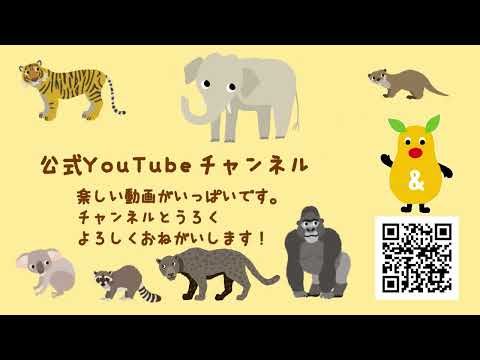 【東山動植物園公式】YouTube　PR動画5（2025.12改修） サムネイル