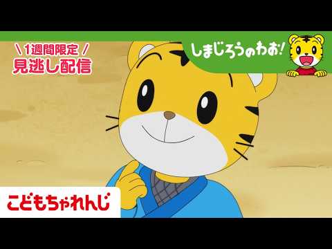 【見逃し配信】テレビ番組「しまじろうのわお！」 5月30日放送 ｜ニキニキ にんじゃでござる｜726【しまじろうチャン…