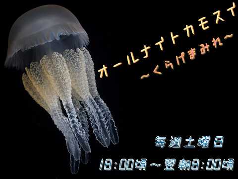 オールナイトカモスイ　～くらげまみれ～ 247　カトスティラス・タギ サムネイル