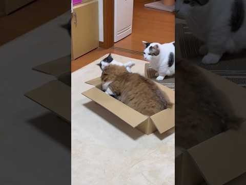 めっちゃ目の前やん サムネイル
