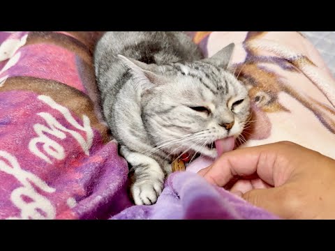 こういうことするのもあいちゃんだけなんだよなあ サムネイル