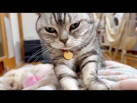 うどん屋の女房の朝は早い。 サムネイル