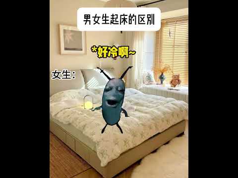 男女生起床区别 有趣 猫meme 猫meme剧场 猫meme小剧场 内容过于真实  故事 貓 猫猫meme小剧场 喵不… サムネイル