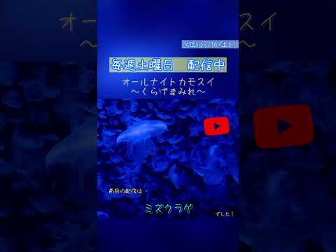 オールナイトカモスイ　～くらげまみれ～ 252　ミズクラゲ