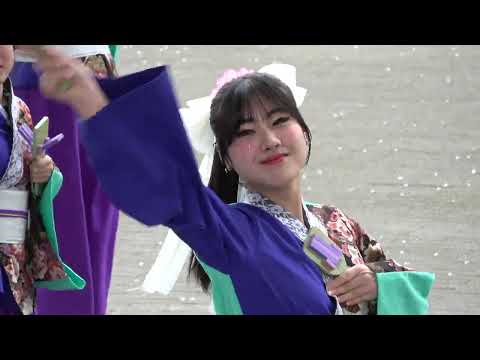 てんしゃばフェスタ踊り子＠2026　サクラタウンよさこい～春の特別祭～ サムネイル