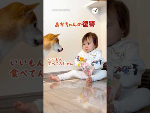 赤ちゃんの復讐｜PECO サムネイル