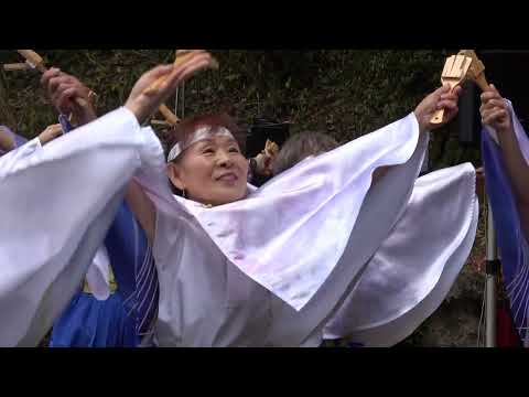 2025年最新！東郷公園もみじまつりで必見のよさこいパフォーマンス