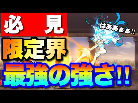 圧倒的！これが最強限定白フォノウの強さ！　にゃんこ大戦争　battlecats　【オレンジチャンネル】 サムネイル