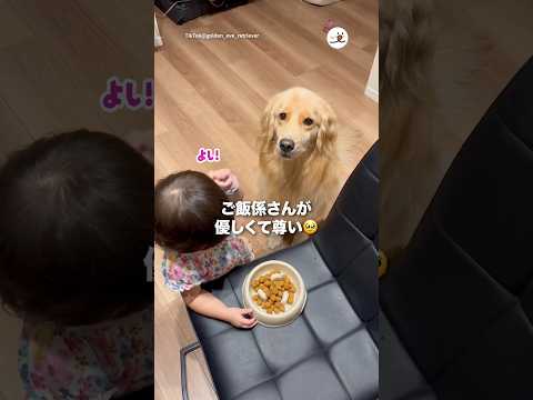 ご飯係さんが優しくて尊い🥹｜PECO サムネイル