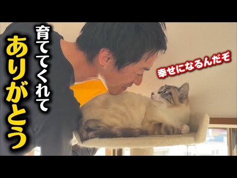 小さな頃から育ててくれたパパと最後のお別れ サムネイル