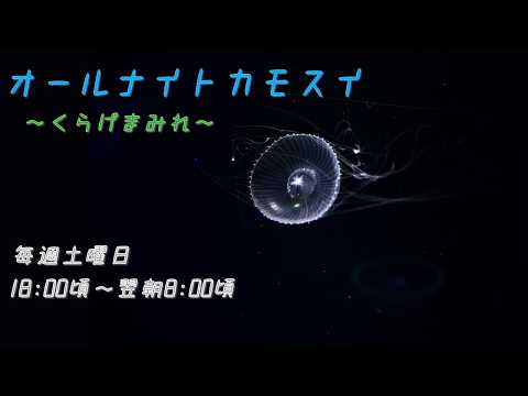 オールナイトカモスイ　～くらげまみれ～ 250　オワンクラゲ(ヴィクトリア) サムネイル