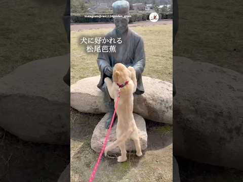 人じゃないよ｜PECO サムネイル