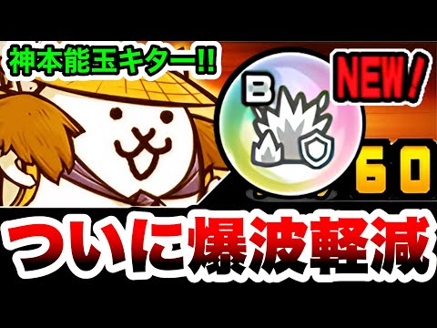 ついに本能玉『爆波ダメージ耐性』登場！これで新時代の爆波大戦争を乗り切れる！！　にゃんこ大戦争 サムネイル