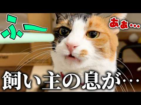 飼い主の息が、信じられない匂いをしていました。