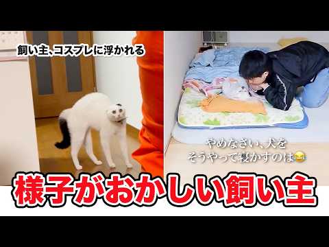 【飼い主崩壊】ペットも二度見する「クセが強い飼い主」選手権🙋‍♀️｜PECO サムネイル