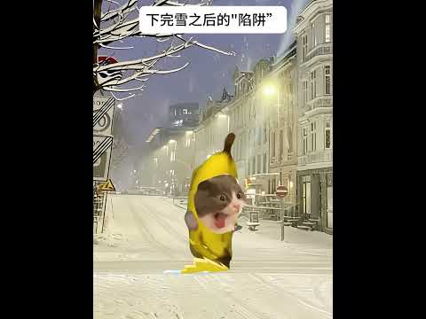 嘿嘿你们是哪种呢？有趣 猫meme 猫meme剧场 猫meme小剧场 内容过于真实  故事 貓 猫猫meme小剧场 喵… サムネイル