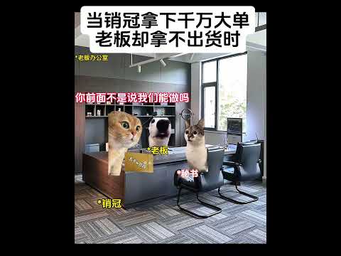当销冠拿下千万大单时，老板却拿不出货有趣 猫meme 猫meme剧场 猫meme小剧场 内容过于真实  故事 貓 猫猫… サムネイル