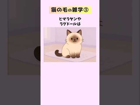 猫の毛の雑学22選③【猫毛・抜け毛・毛づくろい】 猫 雑学 豆知識 トリビア 音声「VOICEVOX:ずんだもん」さん サムネイル