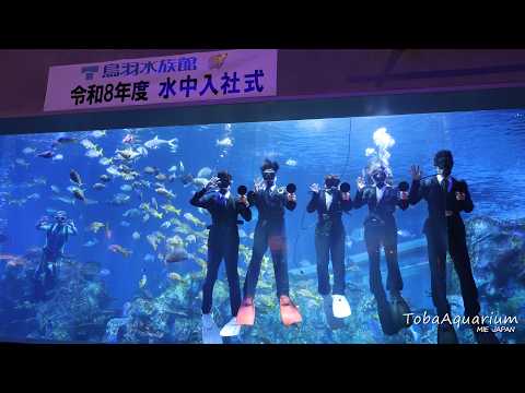 《鳥羽水族館》令和8年度 水中入社式を行いました サムネイル