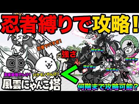 【神回】忍者キャラ縛りでにゃんこ塔の何階まで進めるか検証してみたら50階までクリアできちゃった！？　にゃんこ大戦争 サムネイル