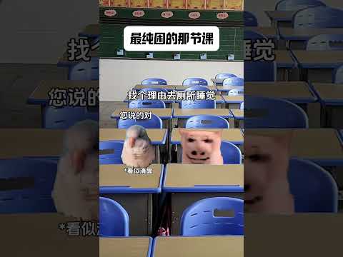 当为了睡觉跑去厕所时 有趣 猫meme 猫meme剧场 猫meme小剧场 内容过于真实  故事 貓 猫猫meme小剧场…