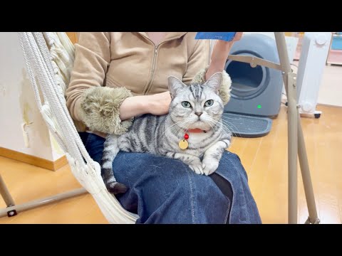 読書してる膝の上でくつろぐあいちゃん。 サムネイル