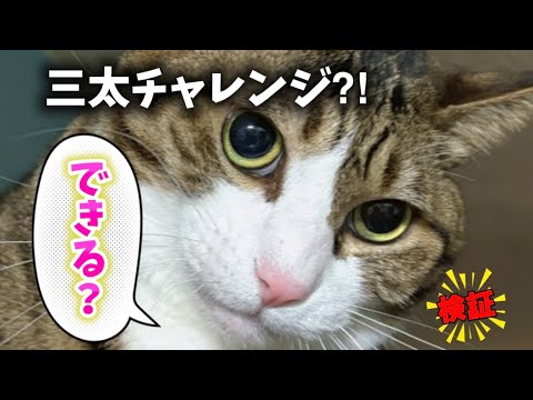 三太がチャレンジしてみたのは… サムネイル