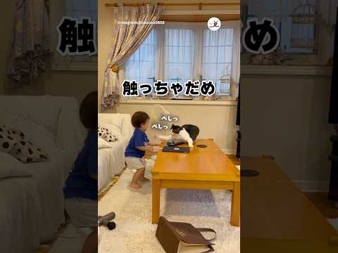 今は触れるでない｜PECO サムネイル