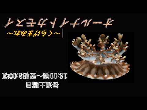 長浜バイオ大学＆九州大学の46号水槽試験
