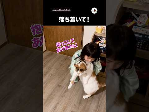 抱っこしてあげたい女の子｜PECO サムネイル