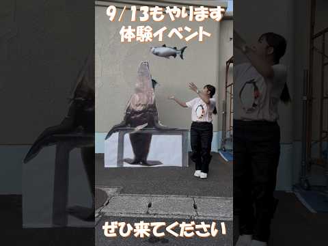 鮭投げ体験やってみた2