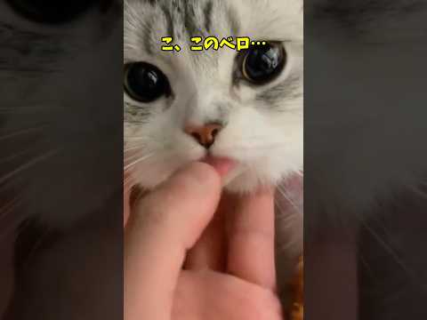 うっっっ可愛い♥ サムネイル