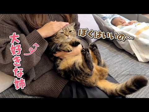 赤ちゃんの前では大好きな姉にも甘えられないツンデレ猫が可愛すぎた… サムネイル