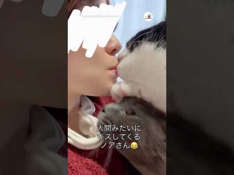 唇と耳たぶを狙われる飼い主｜PECO サムネイル