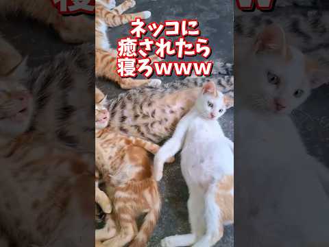 2026年5月19日