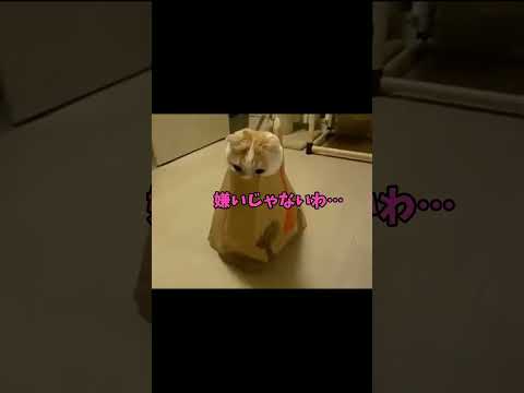 語彙力、行方不明です