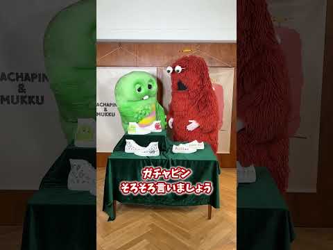 White atelier BY CONVERSE 原宿店/福岡店CONVERSE STORE SENDAI / YU… サムネイル